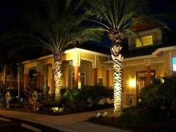 BOOK your Tampa SUPERBOWL CONDOS!
