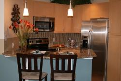 BOOK your Tampa SUPERBOWL CONDOS!