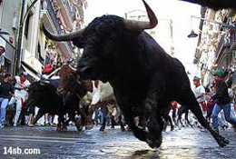 RUNNING OF THE BULLS in Pamplona